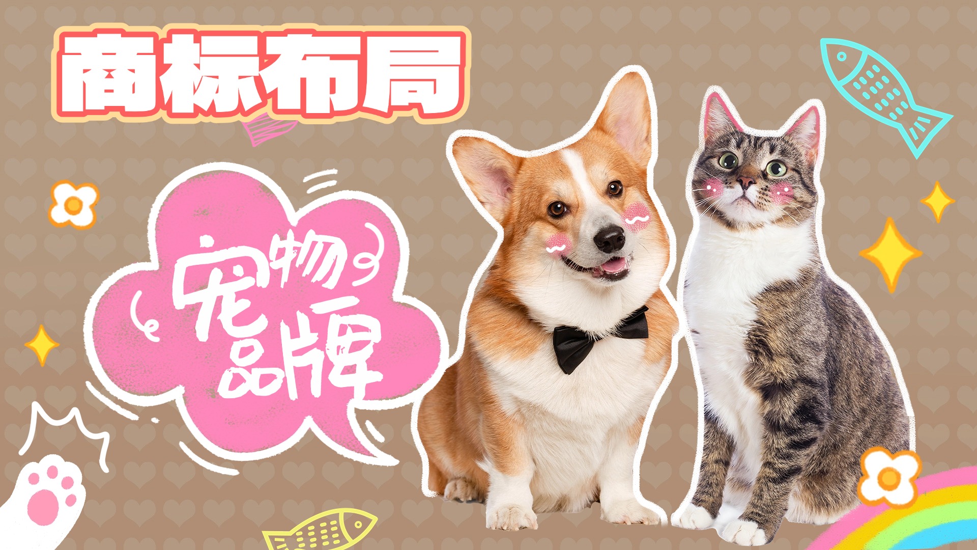宠物救助宣传横版视频封面 (1).jpg