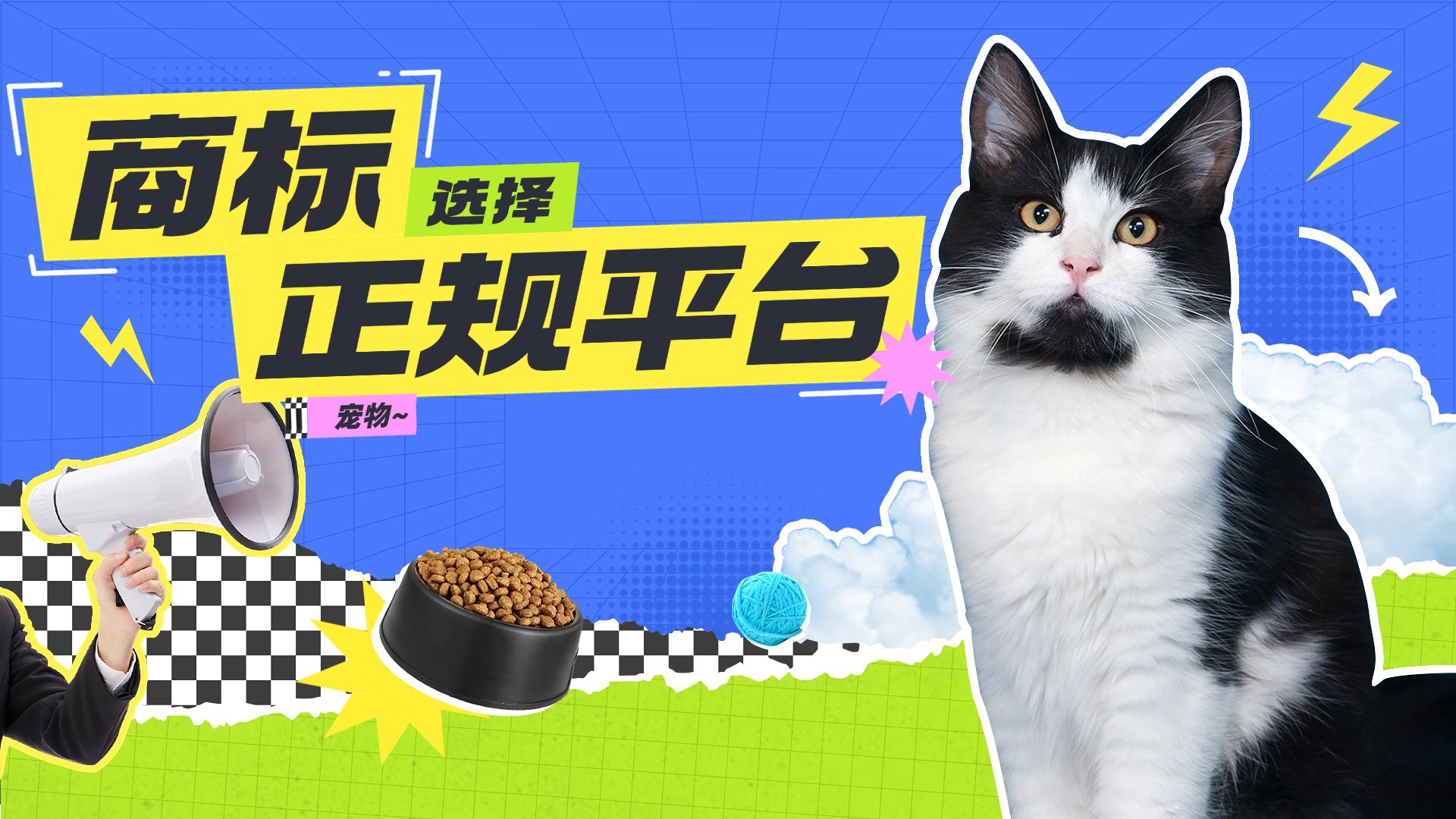 宠物救助宣传横版视频封面(2).jpg